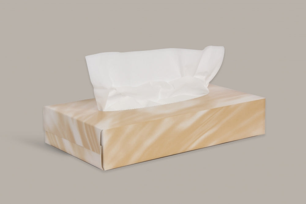Enigma 2-ply Mansize Facial Tissue - 24 x 100 Sheets
